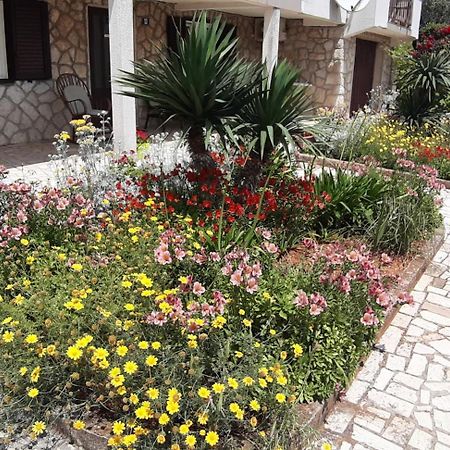 Apartmani Ana Cres Exteriér fotografie